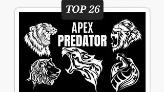 TOP 26 Apex Predators worldwide|🌐|Animals