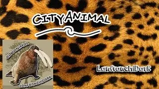 Intro Canal CityAnimal