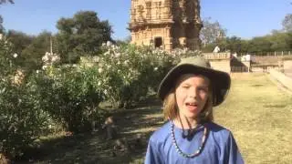 Chittorgarh Fort, Victory Tower - 147 -Postcards from India