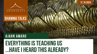 Everything Is Teaching Us ...Have I Heard This Already? | Ajahn Amaro | 12.10.2024