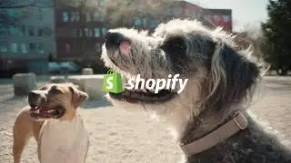 Polkadog x Shopify POS Go Partnership