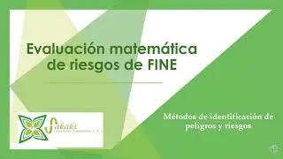 Método de valoración de riesgos de Fine