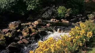 Unwind With A Gentle Scottish Stream | Hebridean Minutes