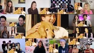 BTS (방탄소년단) 'Stay Gold' Official MV Reaction Mashup