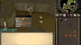 Scotians pure Jurnal - 07Runescape