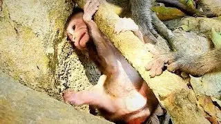 Breaking My heart, Why Mom Careless like this? Cute Baby Baron Upside down again and again.