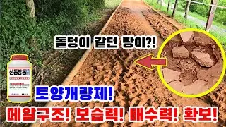 돌덩이 같이 메마른 토양을 한번에 바꾸는 '토양개량제' 추천