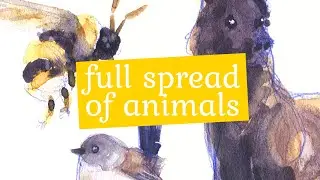Chill and draw : sketching animals with watercolor