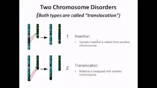 Chromosome abnormalities - structural abnormalities