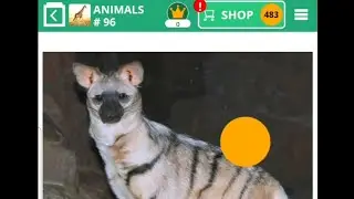 100 Pics | Animals | Levels 1 to 100 | (2024 Answers)