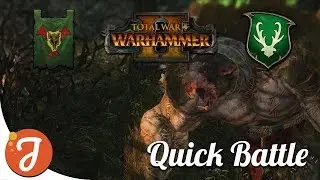 Skrolk Vs The Wood Elves | Battle Replay #34 | Total War: Warhammer II