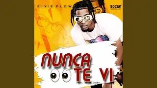 Nunca Te Vi