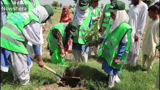 Plantation Drive in Government Schools in Peshawar Nowshera and Kohat.