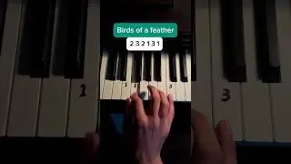 Birds of a feather (Easy Tutorial) #piano #billieeilish #tipsandtricks #pianomusic #tutorial