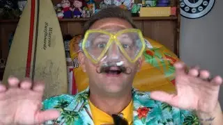 Comparing All 4 Major Orlando Water Parks | Orlando Water Park Week Recap