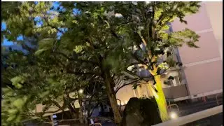 Typhoon Lan in my corner of Kobe