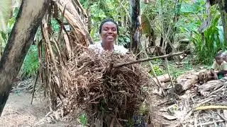 How to add nitrogen and carbon in our processing manure at home for garden use 