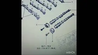 Hyundai elantra 2017  vvt ocv ruido. No todo es grave