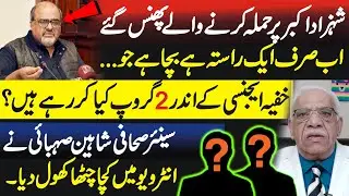 Shehzad Akbar's incident won't stop overseas Pakistanis from raising voice for Khan,Shaheen Sehbai