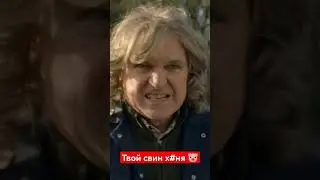 Где моя свинья? #brassic #гилган