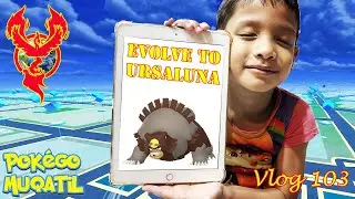 Vlog 103: Pudin successfully get silver medal for Hisui Pokedex 🤩