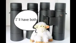 Viking Osprey 8x42 ED or 10x42 ED bird watching binoculars. Which is better ?