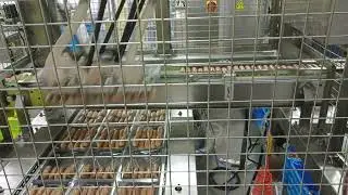 Orientation in Tray of Sausage Bowl Feeding Steped Convoyer