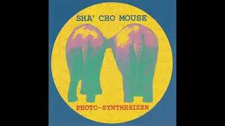 Sha' Cho Mouse - m m m m . . . .