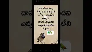 Summer -  Save birds and domestic animals#trendingshorts