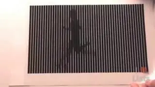 7 Best Optical Illusions of All Time