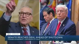 Senate leaders scramble to save bipartisan deal and avoid a partial shutdown