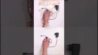 #metamorphosis #amazing #ai #animation #stablediffusion