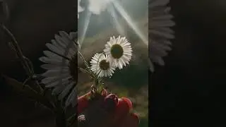 capturing weed bloom into camera looks so beautiful❤️ #nature #flowers #love #naturelovers