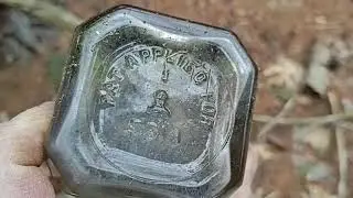 Hiking Protected Forest Area