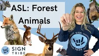 ASL Forest Animals: Deer, Fox, Rabbit, Mouse, Bat, Mouse & More! | Sign Tribe Academy