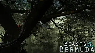 Beasts Of Bermuda Giant Snake: The Legend of Palaeophis