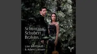 M&auml;rchenbilder pour Alto et Piano, Op. 113: I. Nicht schnell