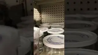 WALMART FISH ABUSE!!