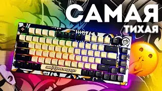 САМАЯ ТИХАЯ КОЛЛАБОРАЦИЯ | AKKO x DP 5075