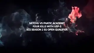 mitchu vs fnatic academy