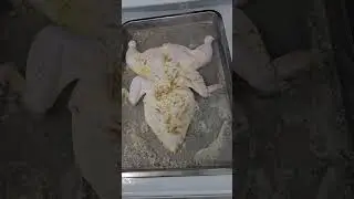 Gallina frita!