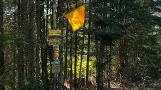 Arriving at Arrow River
