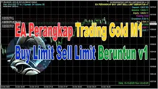 EA Buy Limit Sell Limit Trap Consecutive v1 Gold M1 Trading Robot