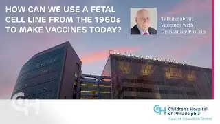 How Can We Still Use a Fetal Cell Line from the 1960s to Make Vaccines Today?