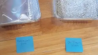 LIVE review: Boxiecat Pro Vs Dr Elsey's Ultra Litter Robot Comparison