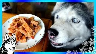 DIY DOG TREATS SALMON BRITTLE | Snow Dogs Snacks 56 | DIY Dog Treats Fish Treats