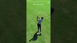 This Fly Made a Man a Millionaire in a Golf Tournament 😱