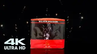 Silver Dragon 100 shots by LF fireworks