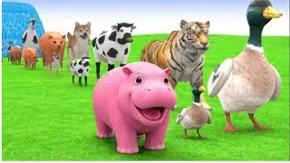 BEST Long Slide Game With Cow Elephant Gorilla Hippopotamus Tiger - 3d Animal Game - Funny 3 Animals