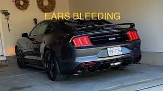 Finally installed KOOKS LONG TUBE HEADERS! And Review